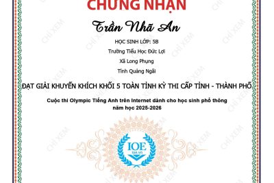 VINH DANH HỌC SINH TIỂU HỌC ĐỨC LỢI ĐẠT GIẢI KỲ THI OLYMPIC TIẾNG ANH QUA INTERNET (IOE) – VÒNG THI CẤP TỈNH NĂM HỌC 2025–2026