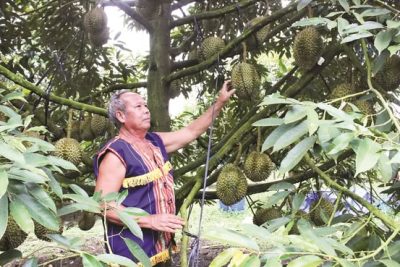 LAN TỎA PHONG TRÀO LÀM KINH TẾ GIỎI TRONG VÙNG ĐỒNG BÀO DÂN TỘC THIỂU SỐ